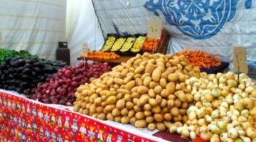 تحديثات أسواق مطروح.. قائمة أسعار الخضراوات وتباين سعر البصل اليوم الإثنين